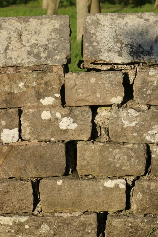 Stone Wall Repair in Lawrence Township, NJ